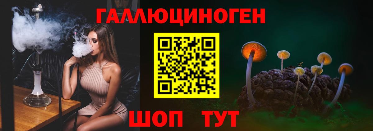 Амурск  Псилоцибиновые грибы Magic Shrooms  Вход с VPN 